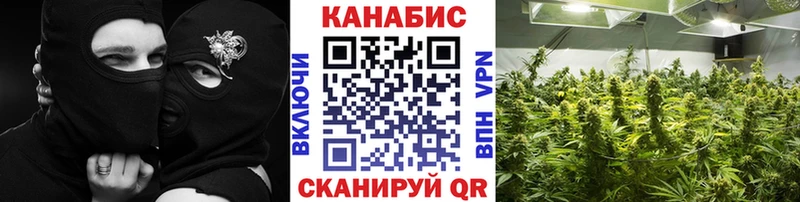 купить Смоленск Шишки марихуана индика